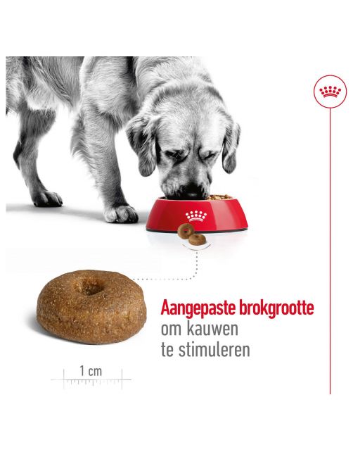 Royal Canin Maxi Ageing 8+ - Hondenvoer