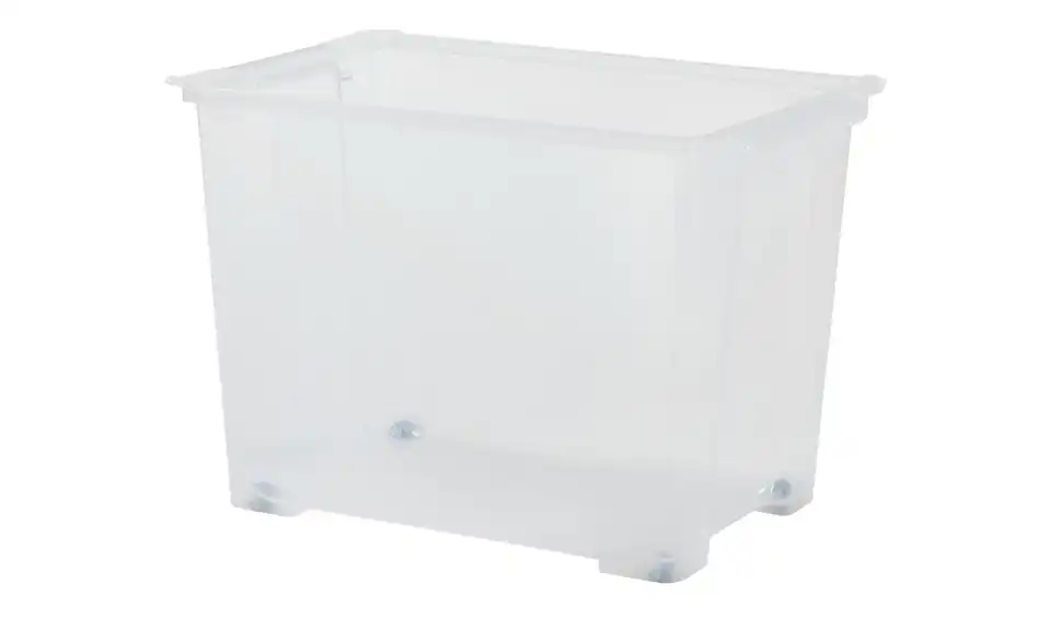 Rotho Aufbewahrungsbox mit Rollen