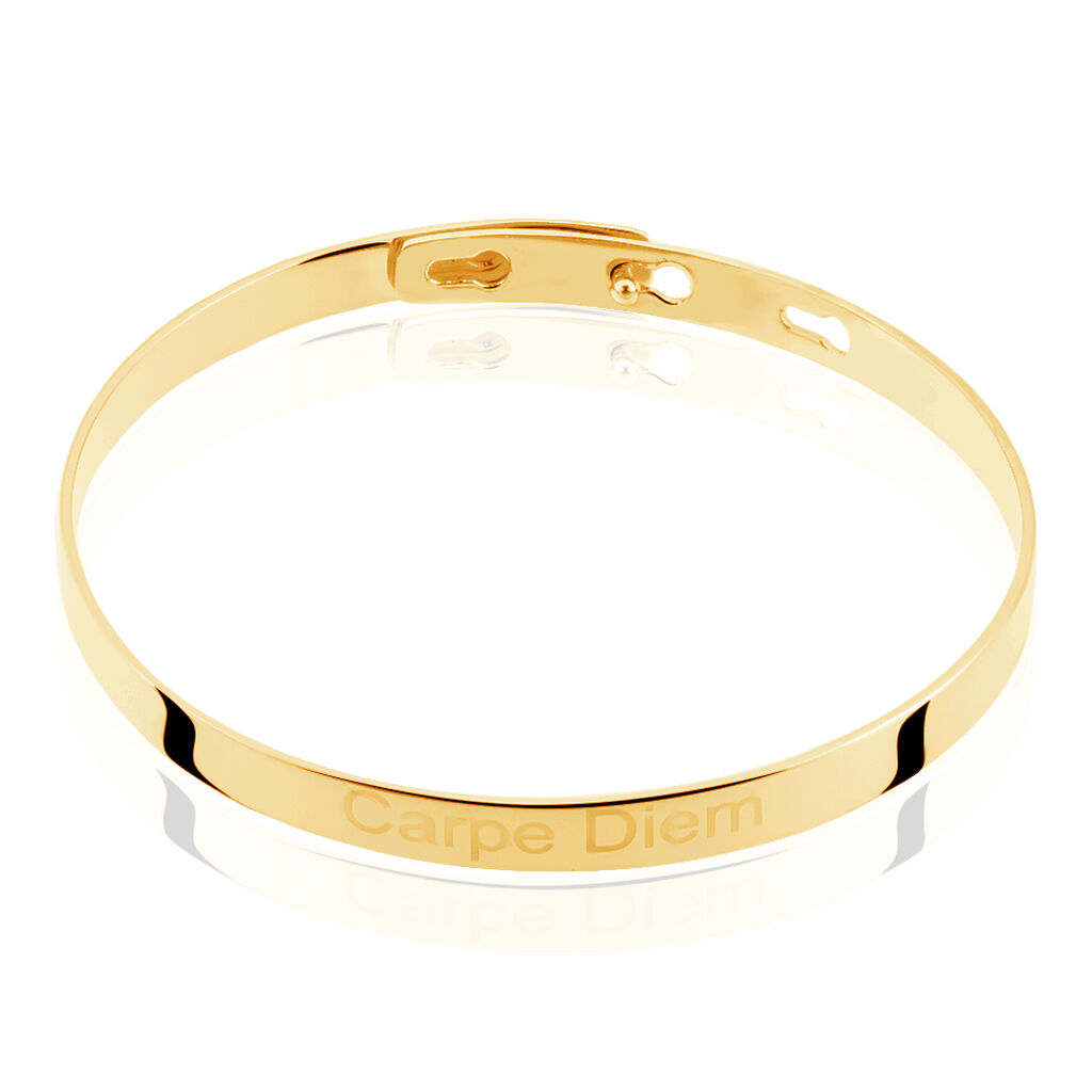 Bracelet Jonc Gravita Argent Jaune