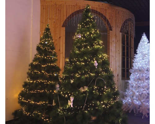 LED cluster lichtketting Lafiora 6 m + 5 m aansluitdraad 768 LED's warmwitte lichtkleur incl. timer