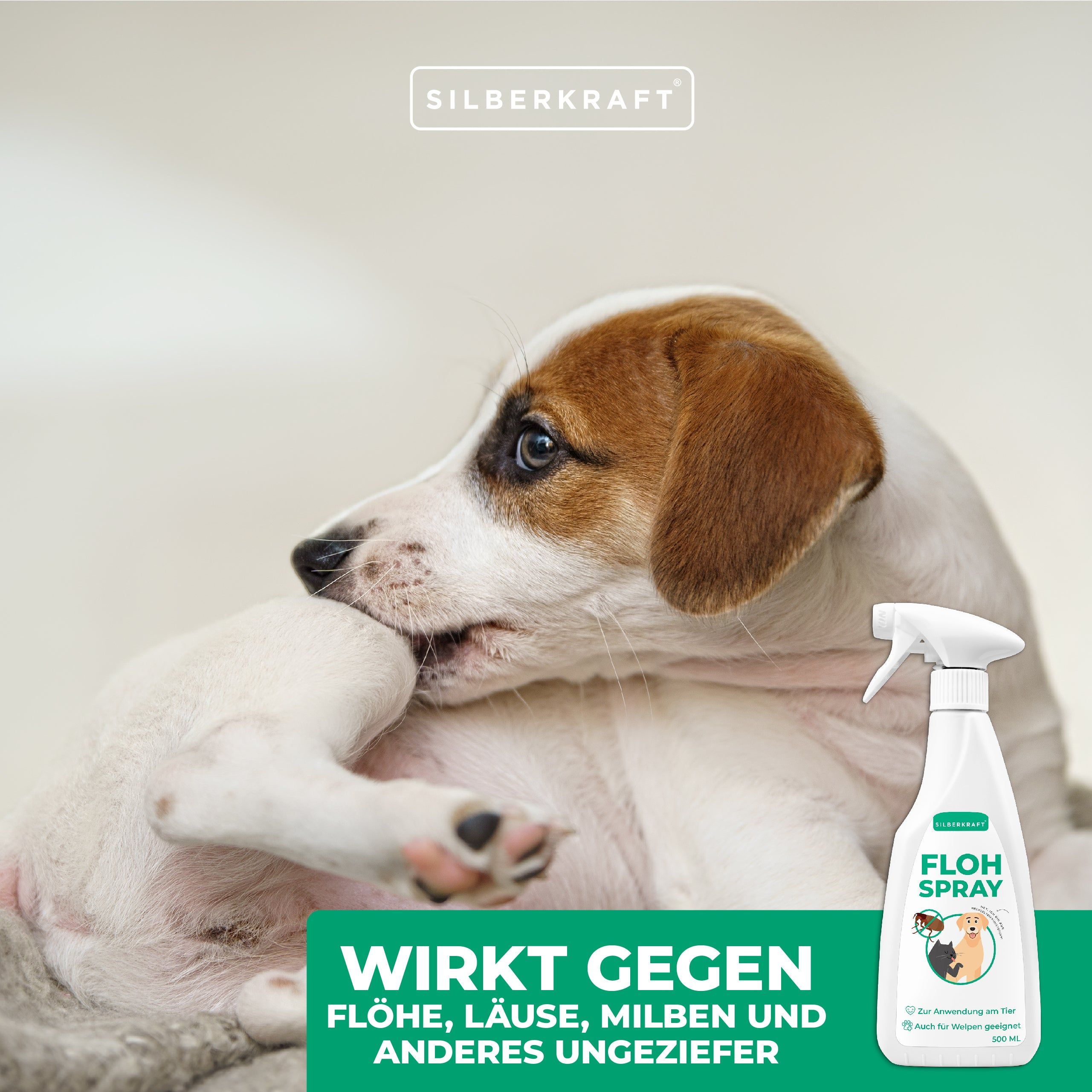 SILBERKRAFT Flohspray Hunde und Katzen