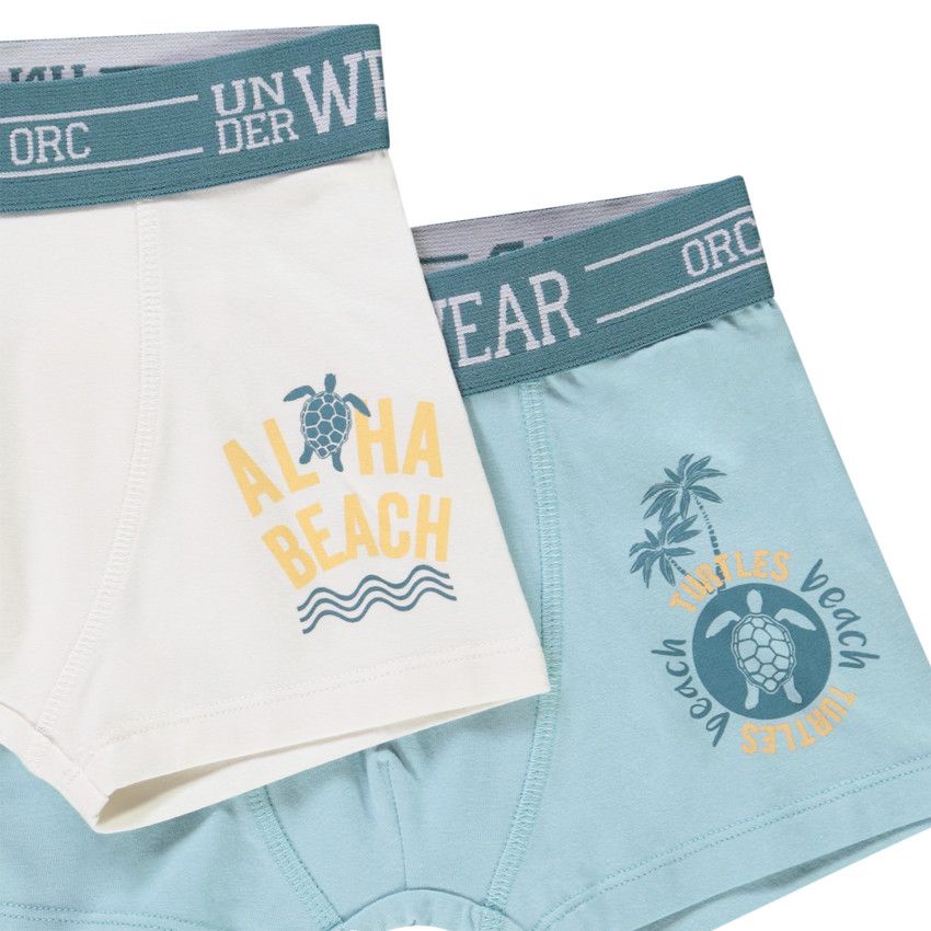 Lot de 5 boxers motifs Turtle Island pour garçon - Bleu