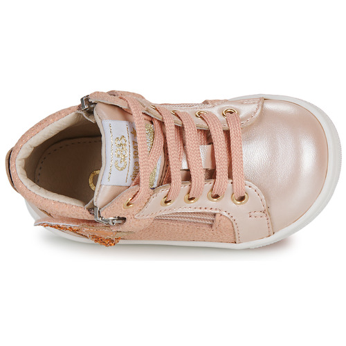 GBB - VALA - Rose