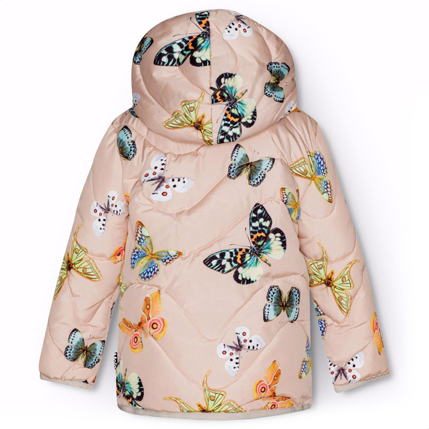 Harmony - Blush Papillions