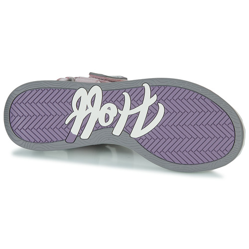 HOFF - BARBADOS Rosa
