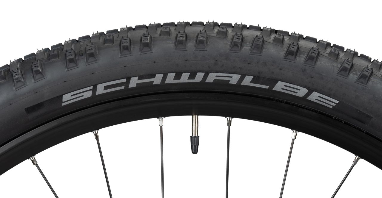 Radon Jealous Hybrid 8.0 625 kaufen | Bike-Discount