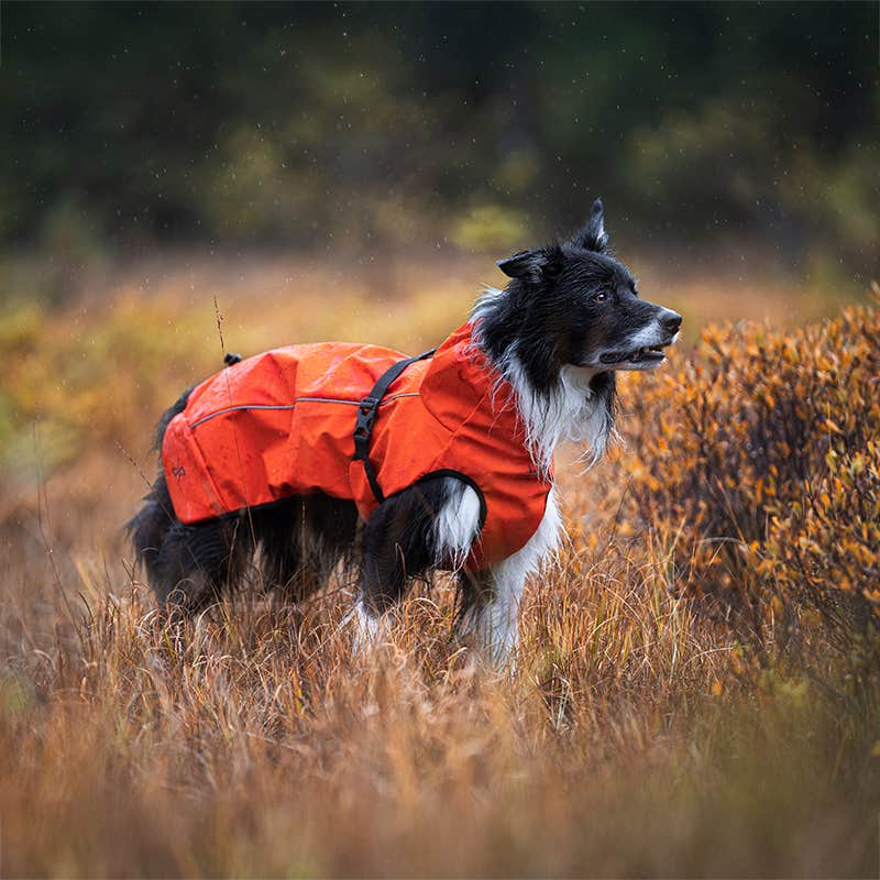 Cyclone Dog Jacket Hund Pureed Pumpkin