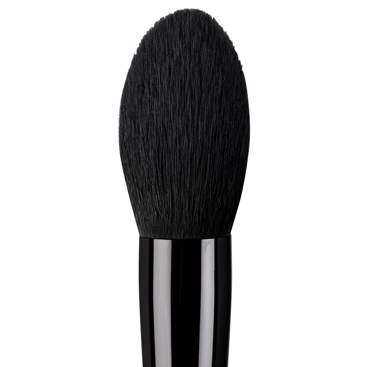 Pro Powder #22