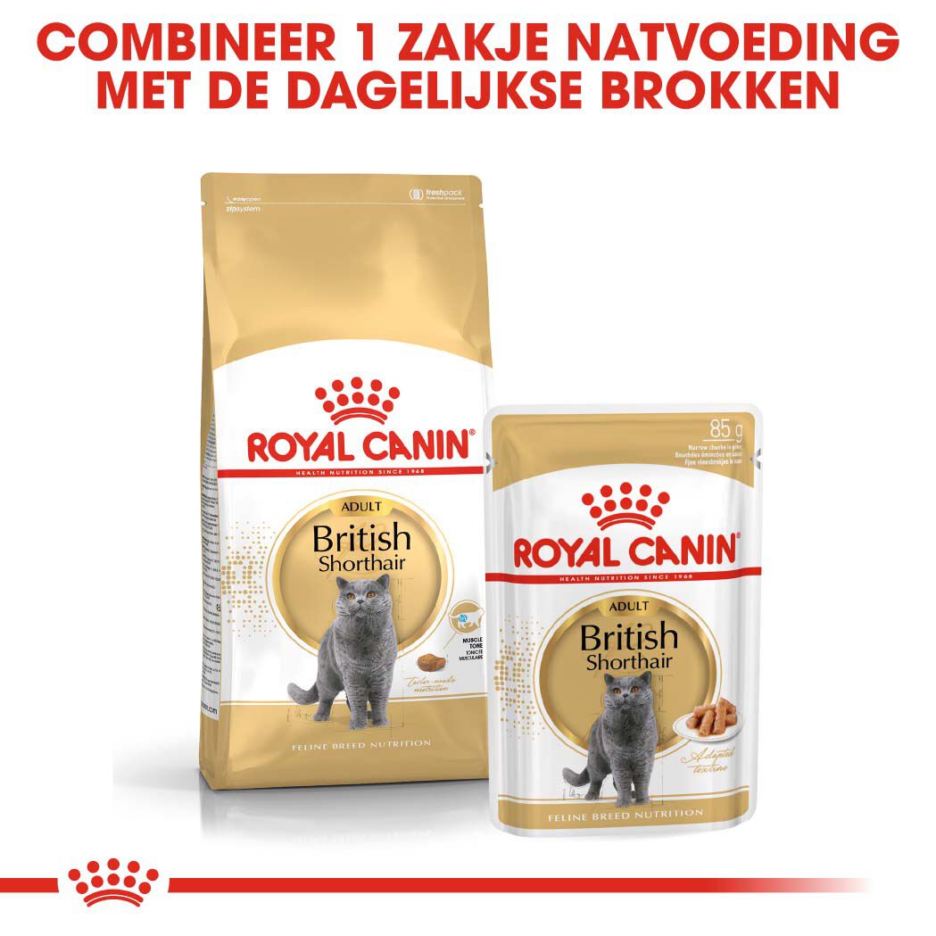 Royal Canin Britse Korthaar Adult - Kattenvoer - 4 Kilogram - Gevogelte