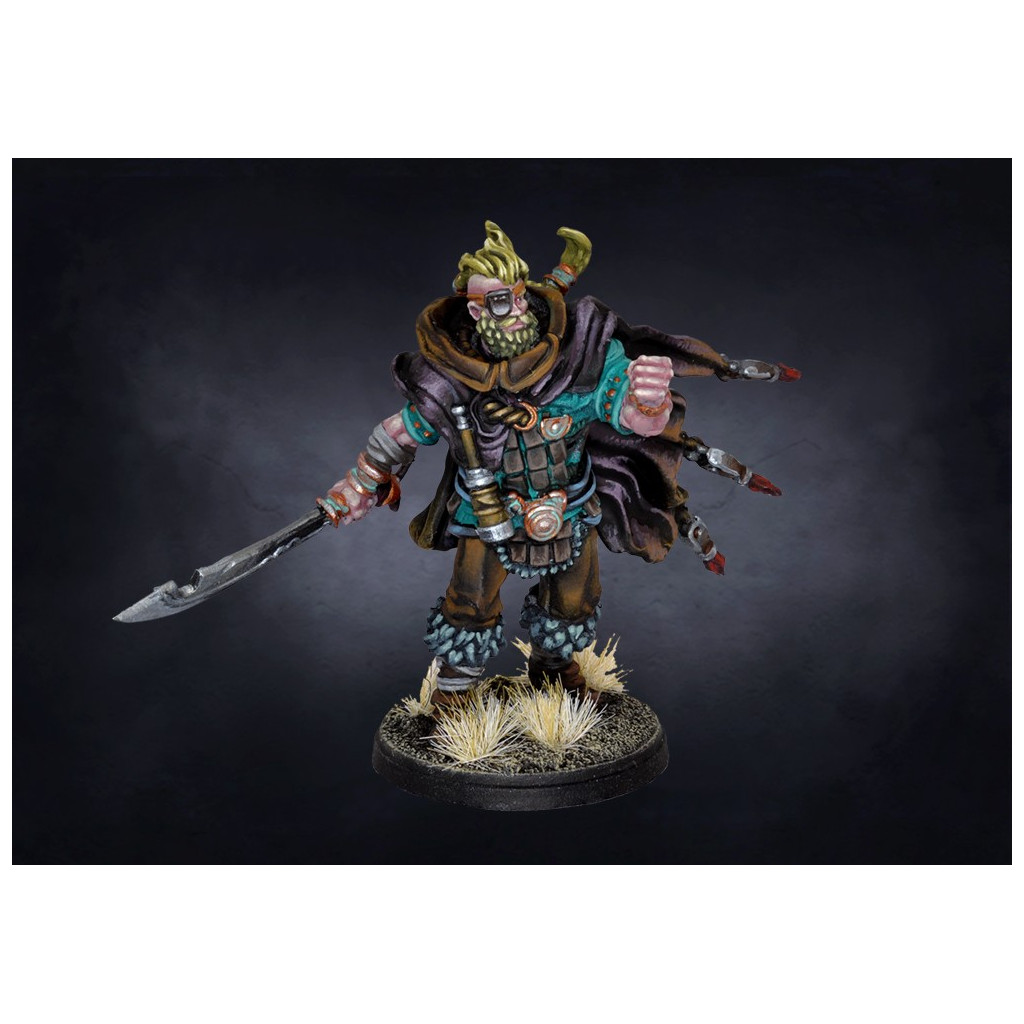 Conquest - Nords - Captain