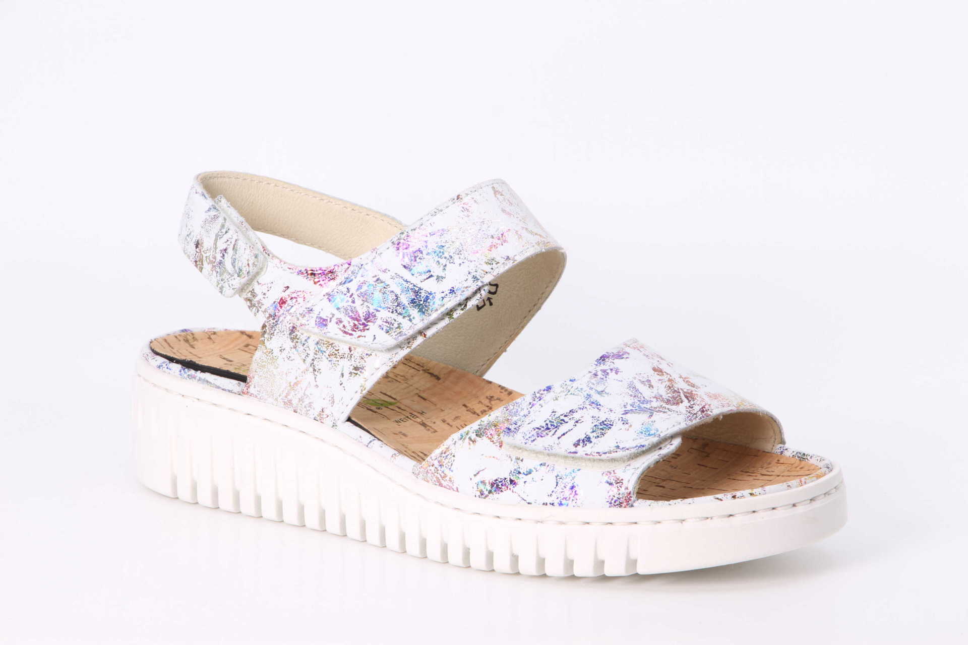 Willow multi
