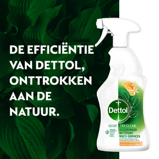 Dettol Allesreiniger Spray Mandarijn & Citroenbloesem 500ML