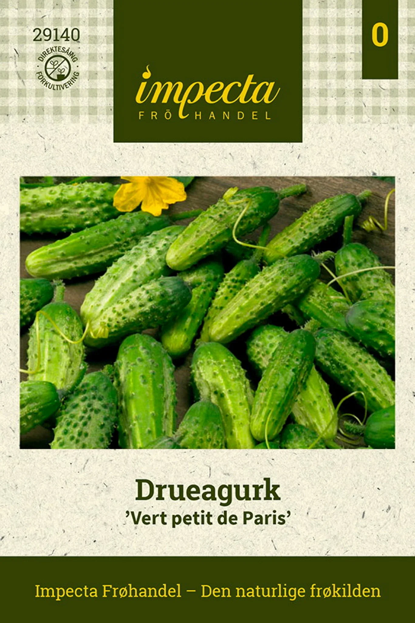 Cucumis sativus 'Vert petit de Paris' Drueagurk 'Vert Petit de Paris'
