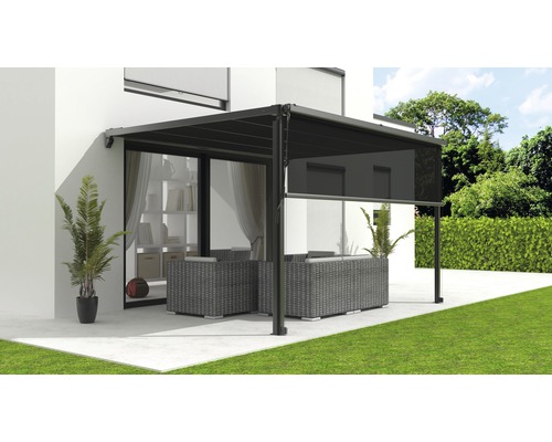 Verticale zonwering, lichtdoorlatend, frame RAL 9011 grafietzwart, geschikt voor pergolazonwering 2,94 x 3,94