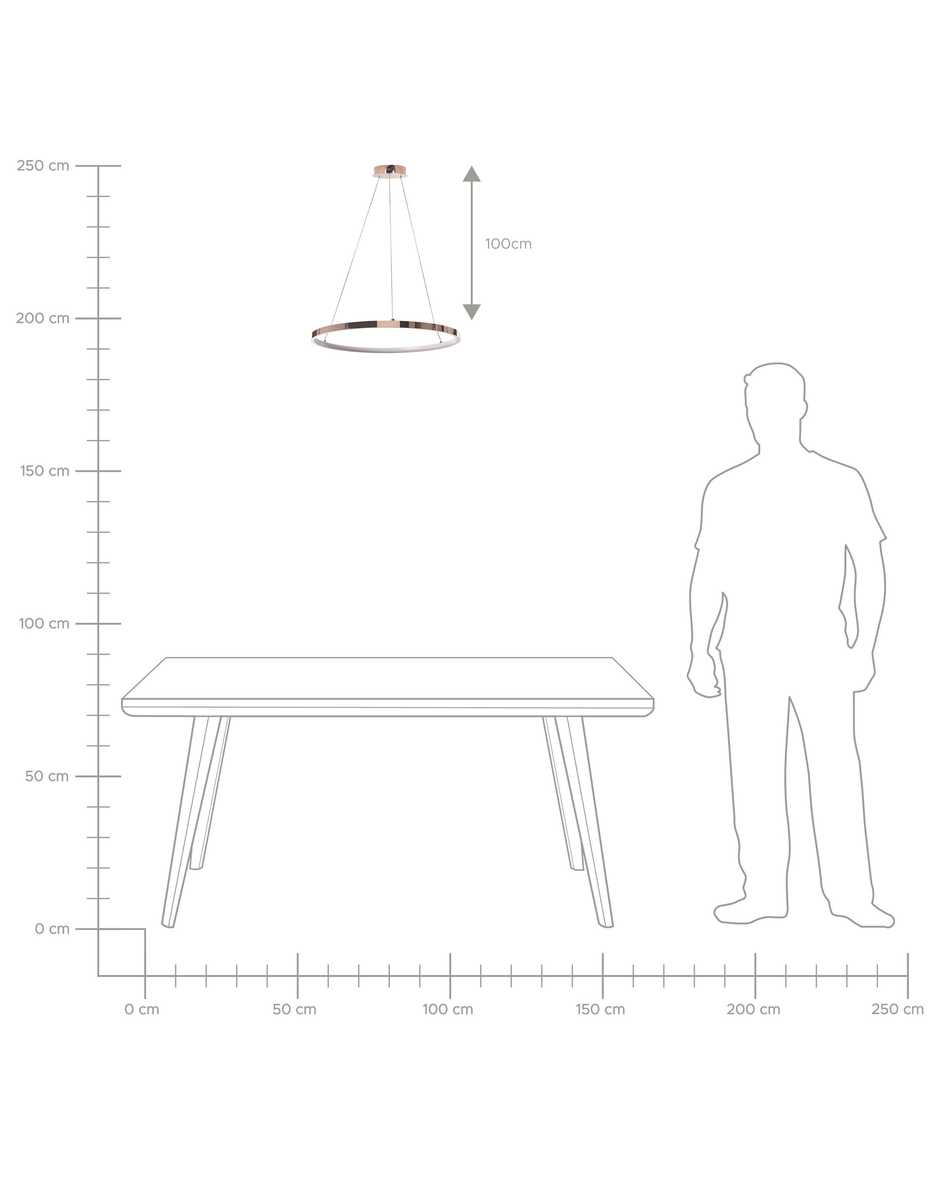 LED hanglamp JORDAN Metaal Roségoud