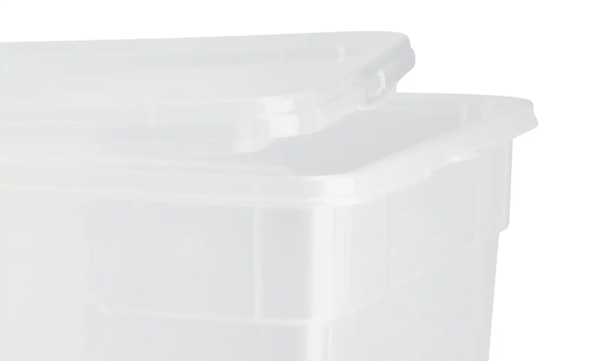 Rotho Aufbewahrungsbox, 4er Set