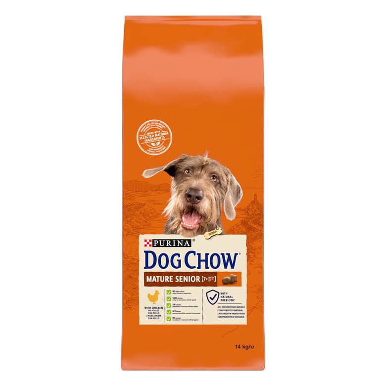 Ração para cães Dog Chow Mature Senior com frango