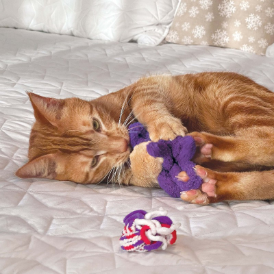 KONG Katzenspielzeug Active Rope Red & Purple
