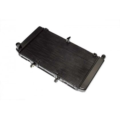 Radiateur Brazoline A EAU ADAPTABLE