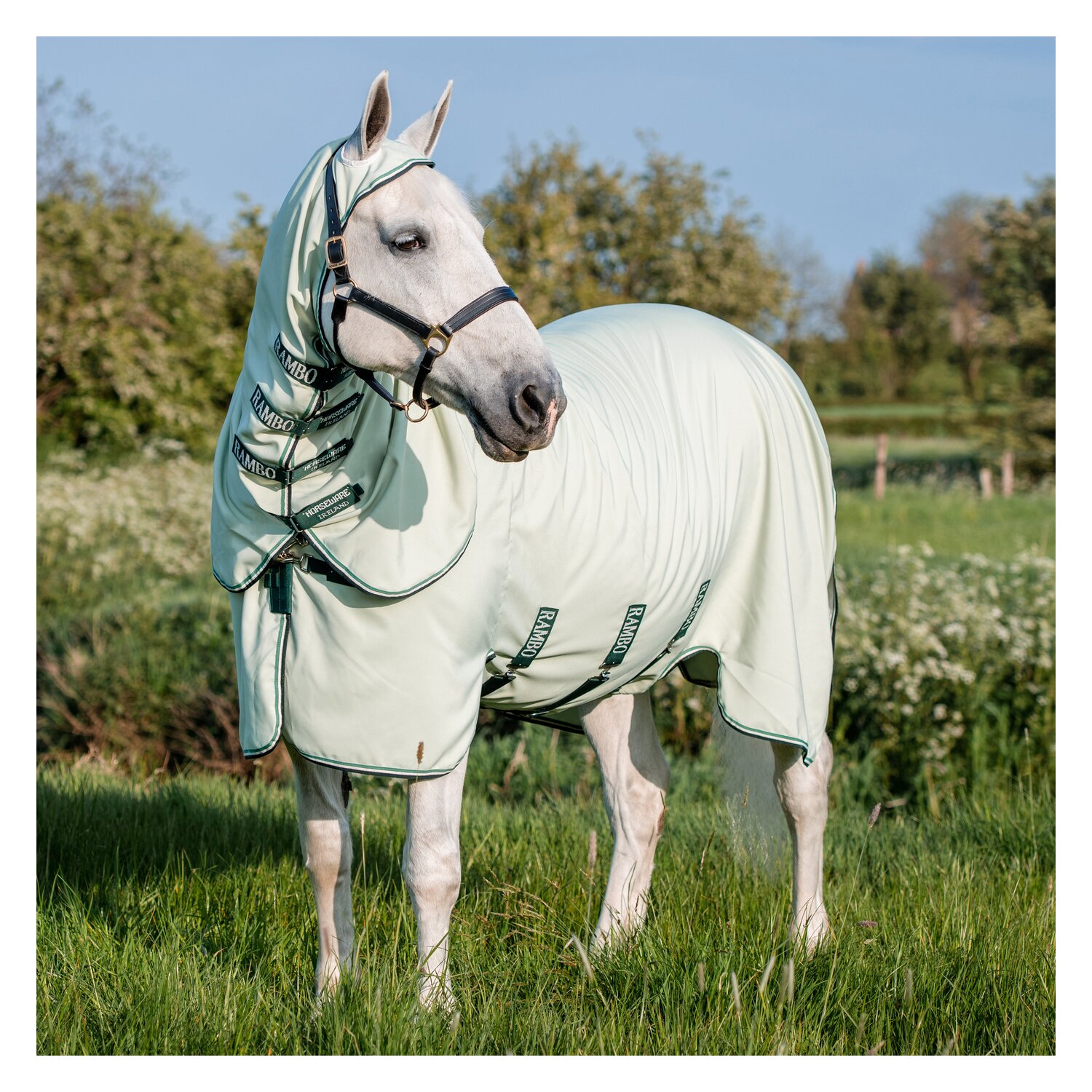 HORSEWARE Fliegendecke RAMBO Hoodie - green/sage