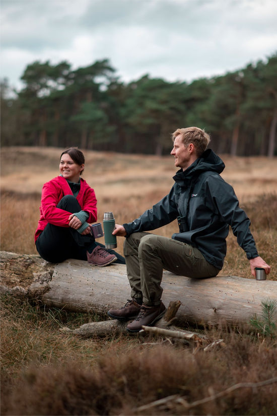 Lowa Lowa Ascona Gore-Tex Lo Wandelschoen Dames