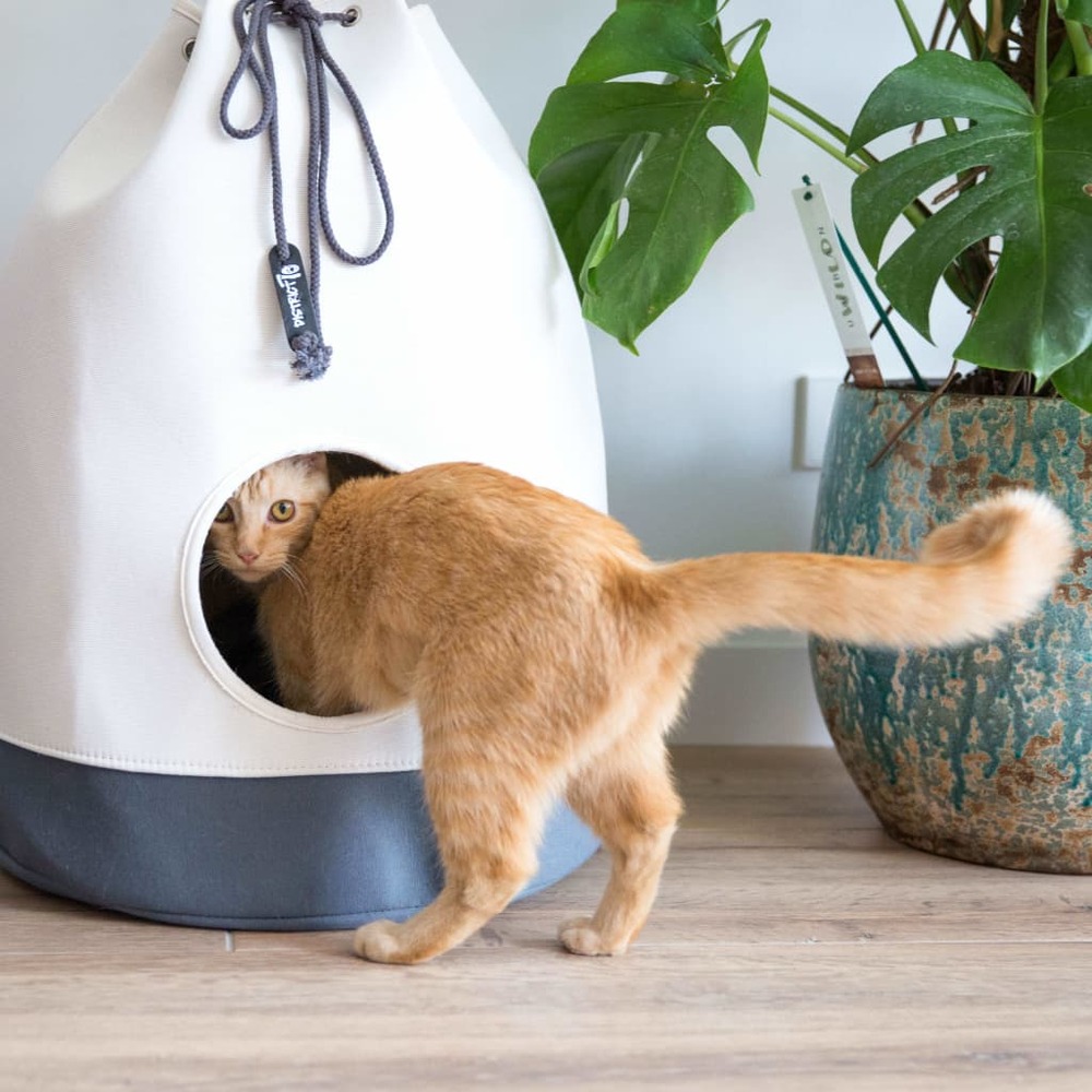 Lit/sac pour chats casa gris foncé
