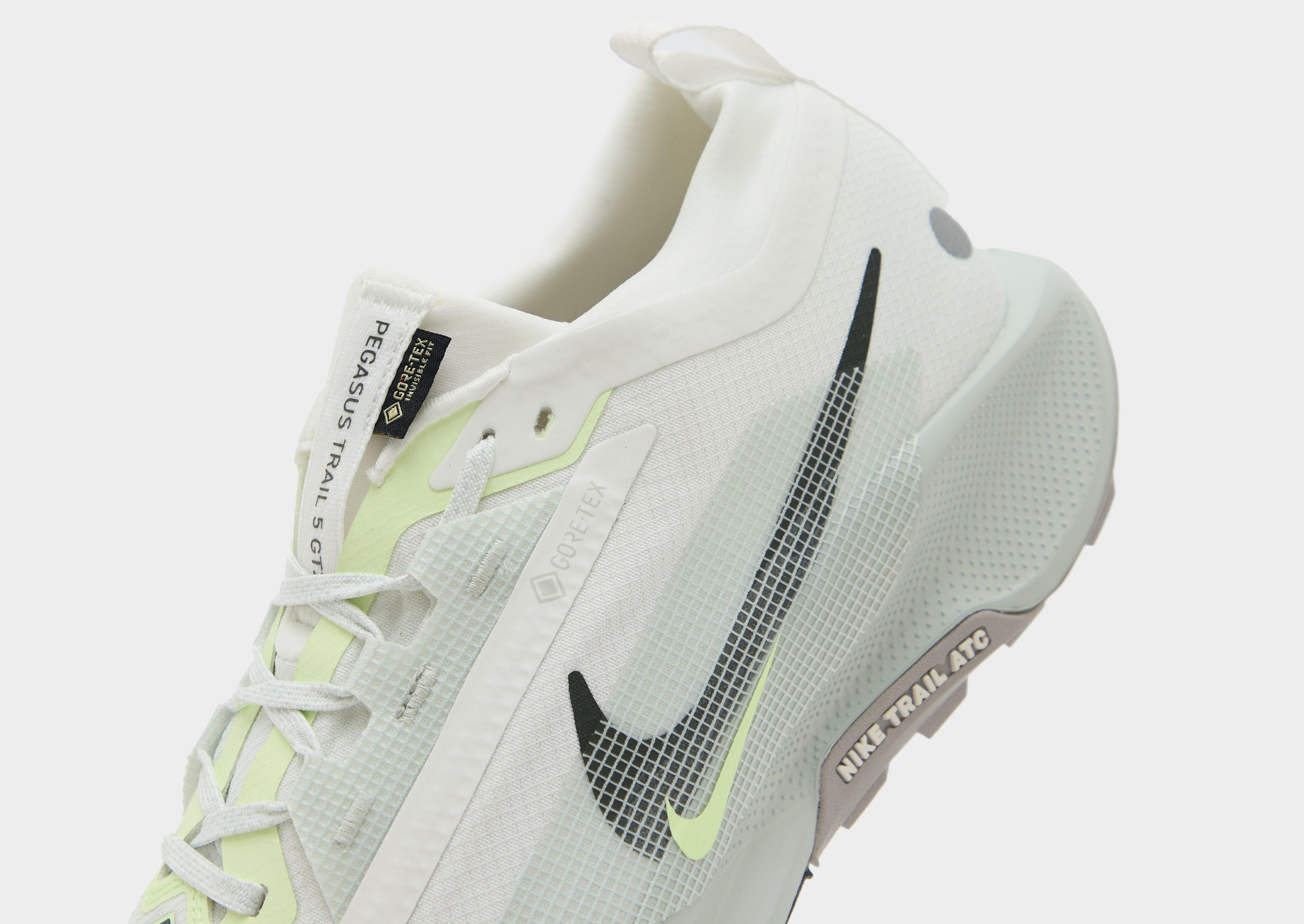 Nike Pegasus Trail 5 GORE-TEX Homme