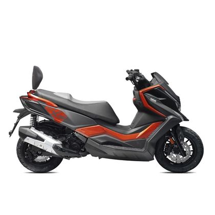 Support Shad pour dosseret scooter