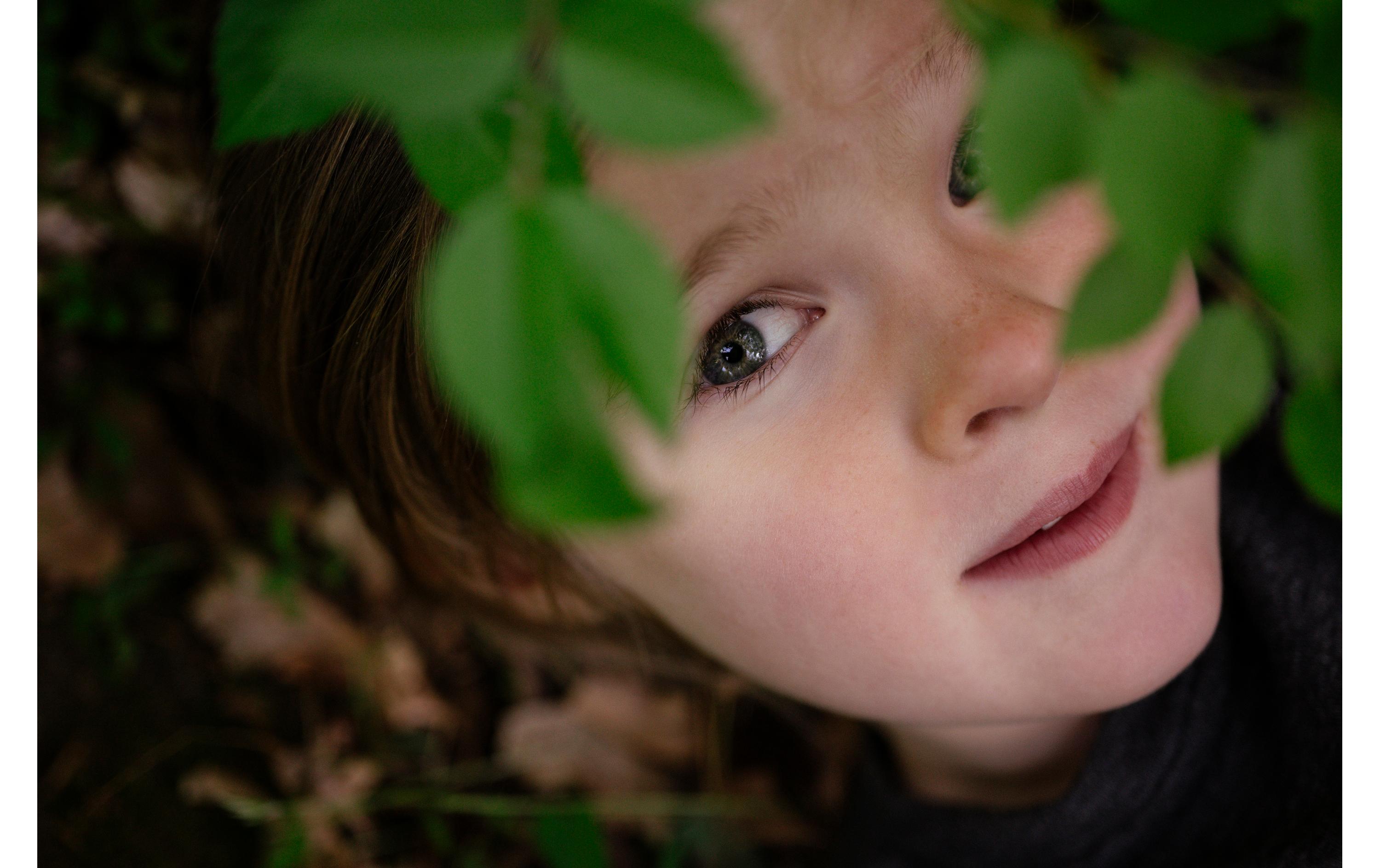 Festbrennweite Z MC 50mm F/2.8 – Nikon Z<br>Makroobjektiv mit hoher Lichtstärke