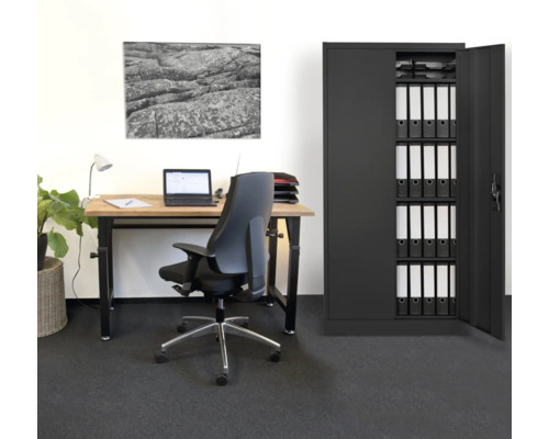 Metalen kast, multifunctionele kast, universele kast, archiefkast, 80 x 168 x 40 cm, 2 deuren, 4 legplanken, antraciet