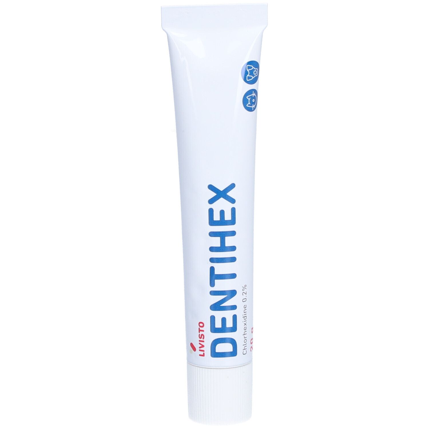 LIVISTO DENTIHEX