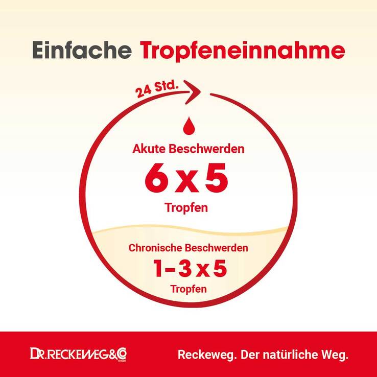 Haemorrhoid-Gastreu N R13 Tropfen zum Einnehmen, 22 ml