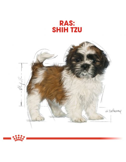 Royal Canin Shih Tzu - Puppy-Hondenvoer - 1.5 kg