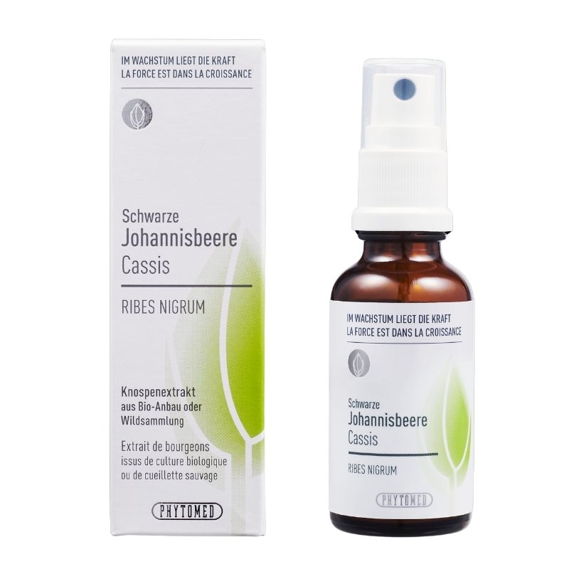 PHYTOMED Knospenextrakt liq Schwarze Johannisbeere Spr 30 ml