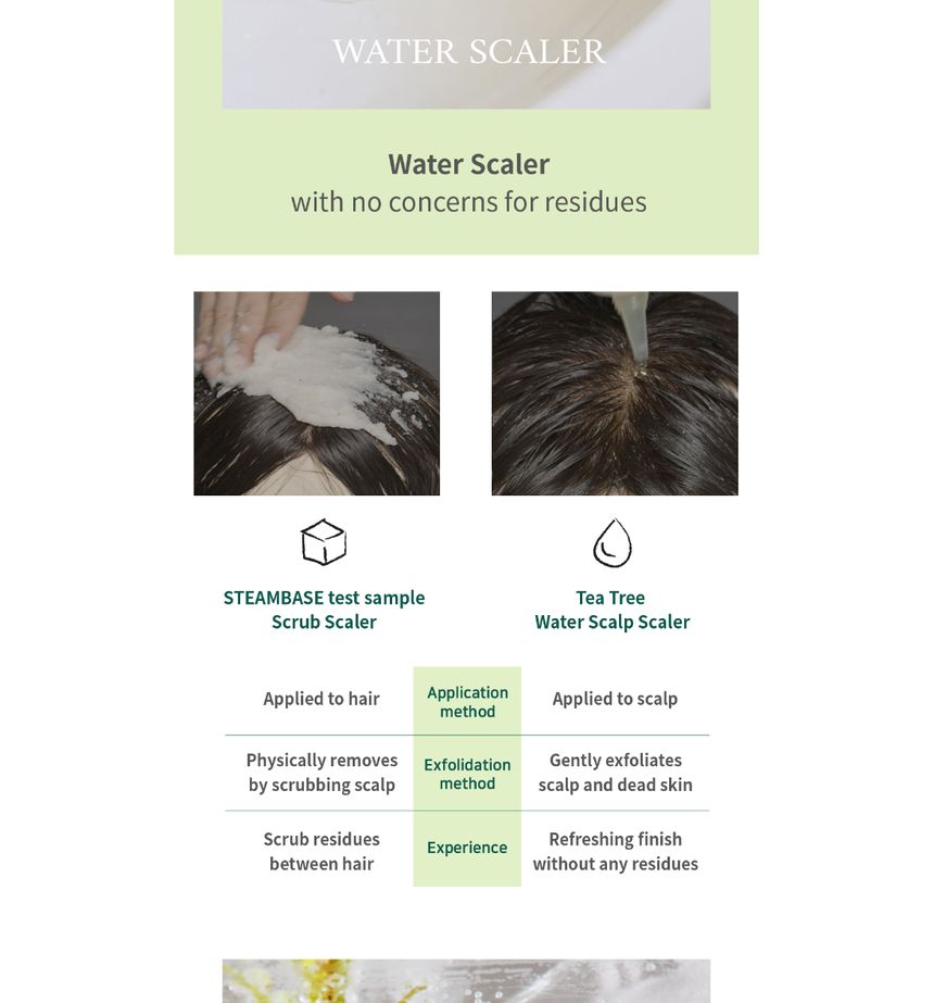 STEAMBASE - Tea Tree Scalp Water Scaler