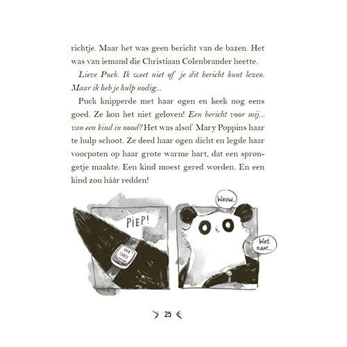 Uitgeverij condor een panda voor mijn verjaardag