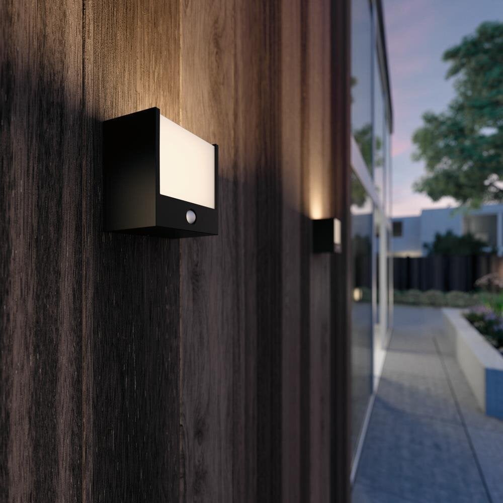 Eenvoudige LED-buitenwandlamp Macaw in het zwart met sensor