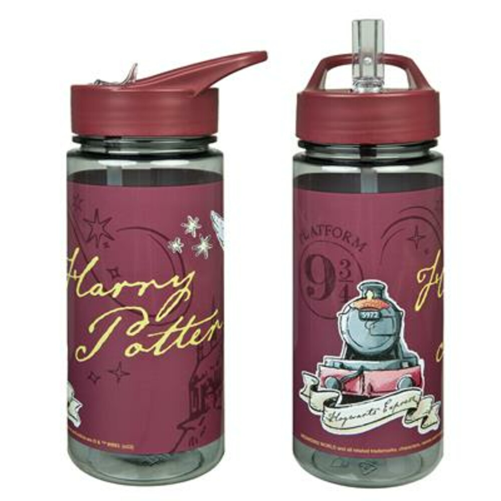 Harry Potter Drinkfles 500 ml