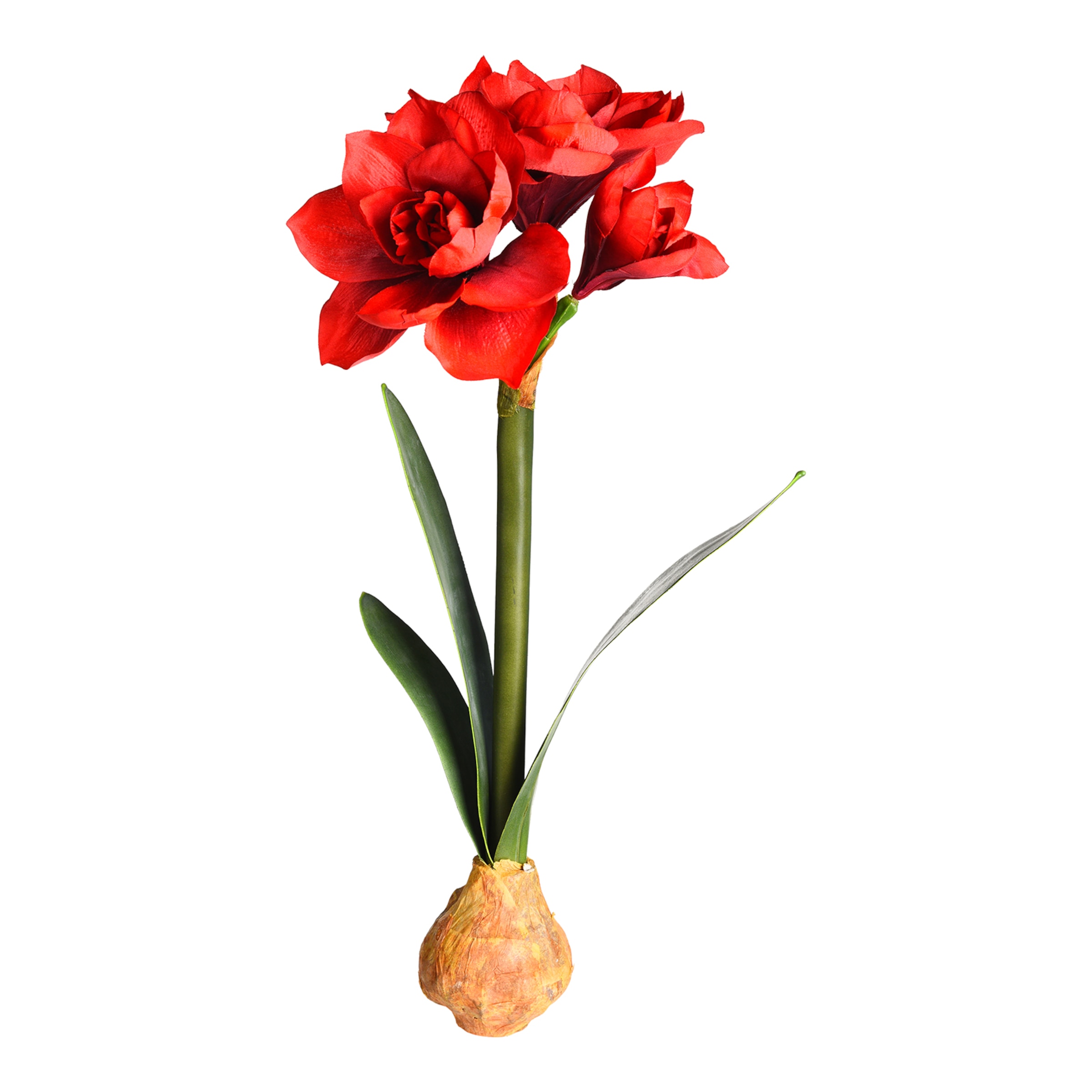 rot, H 58 cm