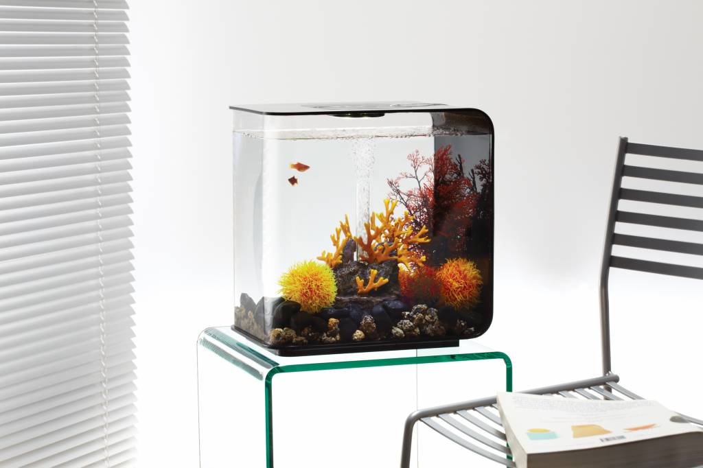 biOrb Kleur bal groot oranje