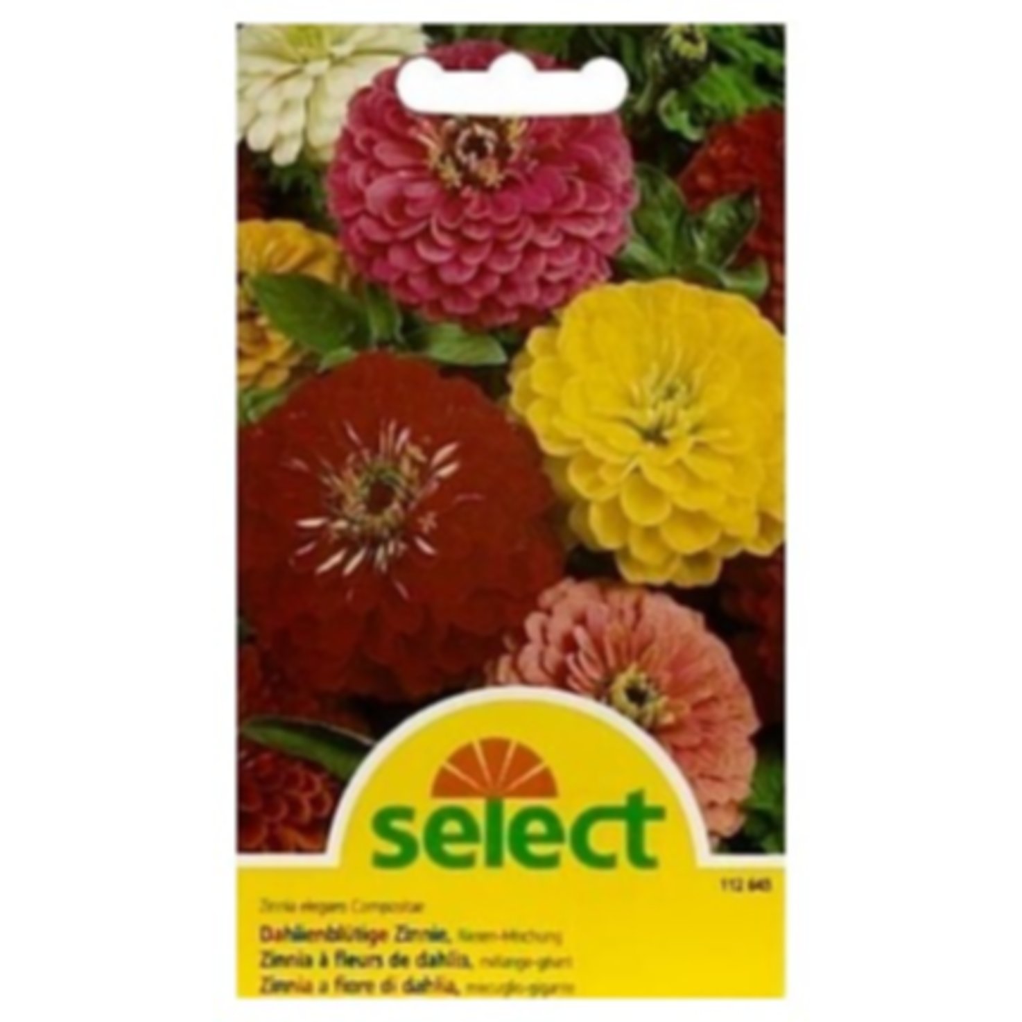 Select Zinnia Dahlienblütige Mischung