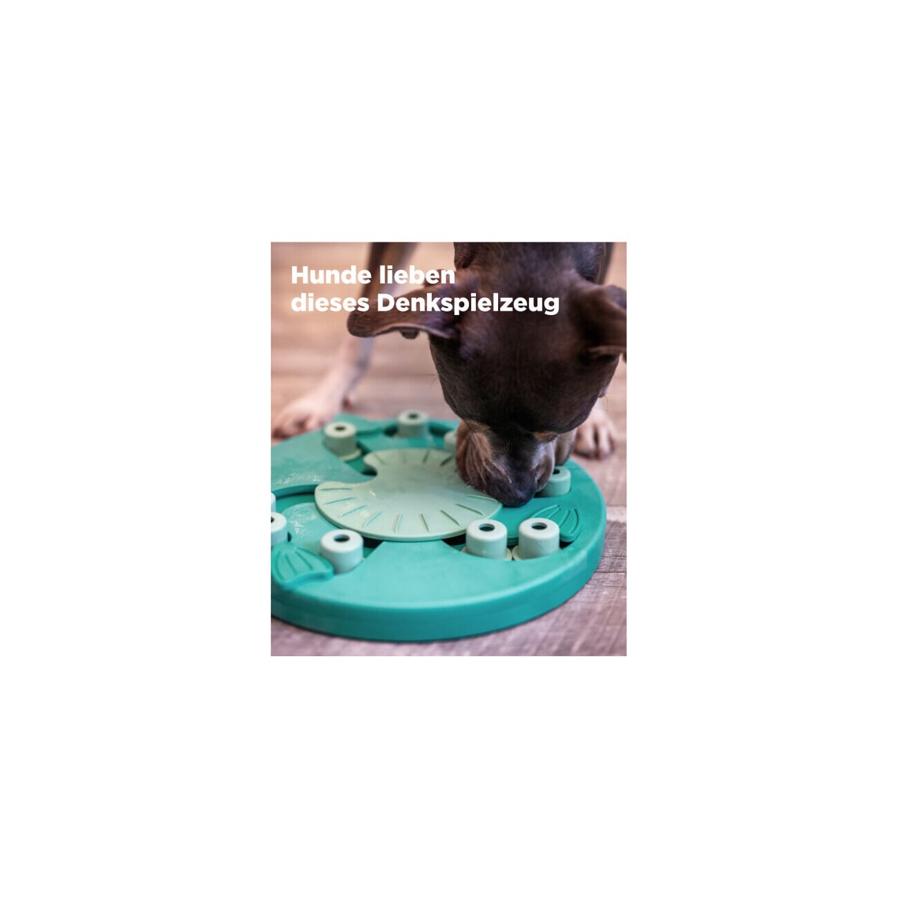 Nina Ottosson Dog Worker - Composite Intelligenzspielzeug