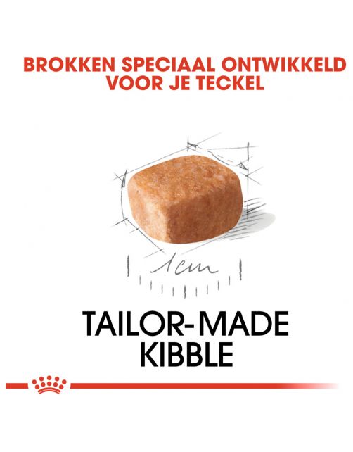 Royal Canin Dachshund - Puppy-Hondenvoer - 1.5 kg