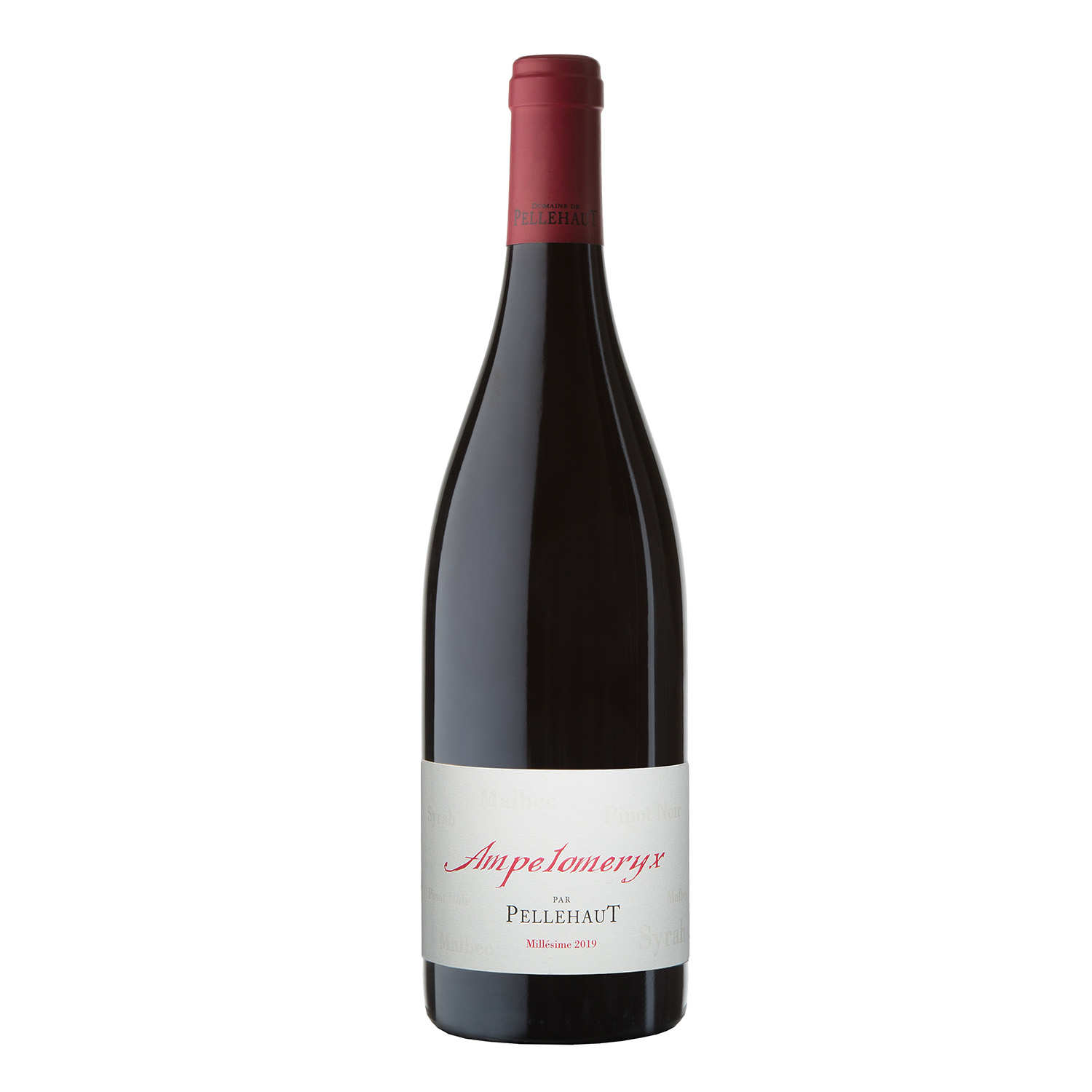 Ampelomeryx - Vin rouge
