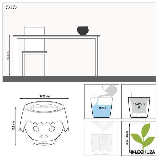 Ojo Kit complet bleu océan