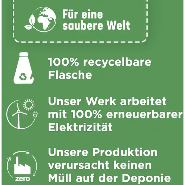 Intensiv-Maschinenreiniger