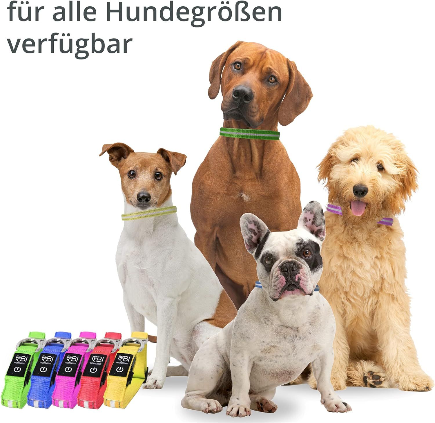 PETSATION Leuchthalsband Hundehalsband