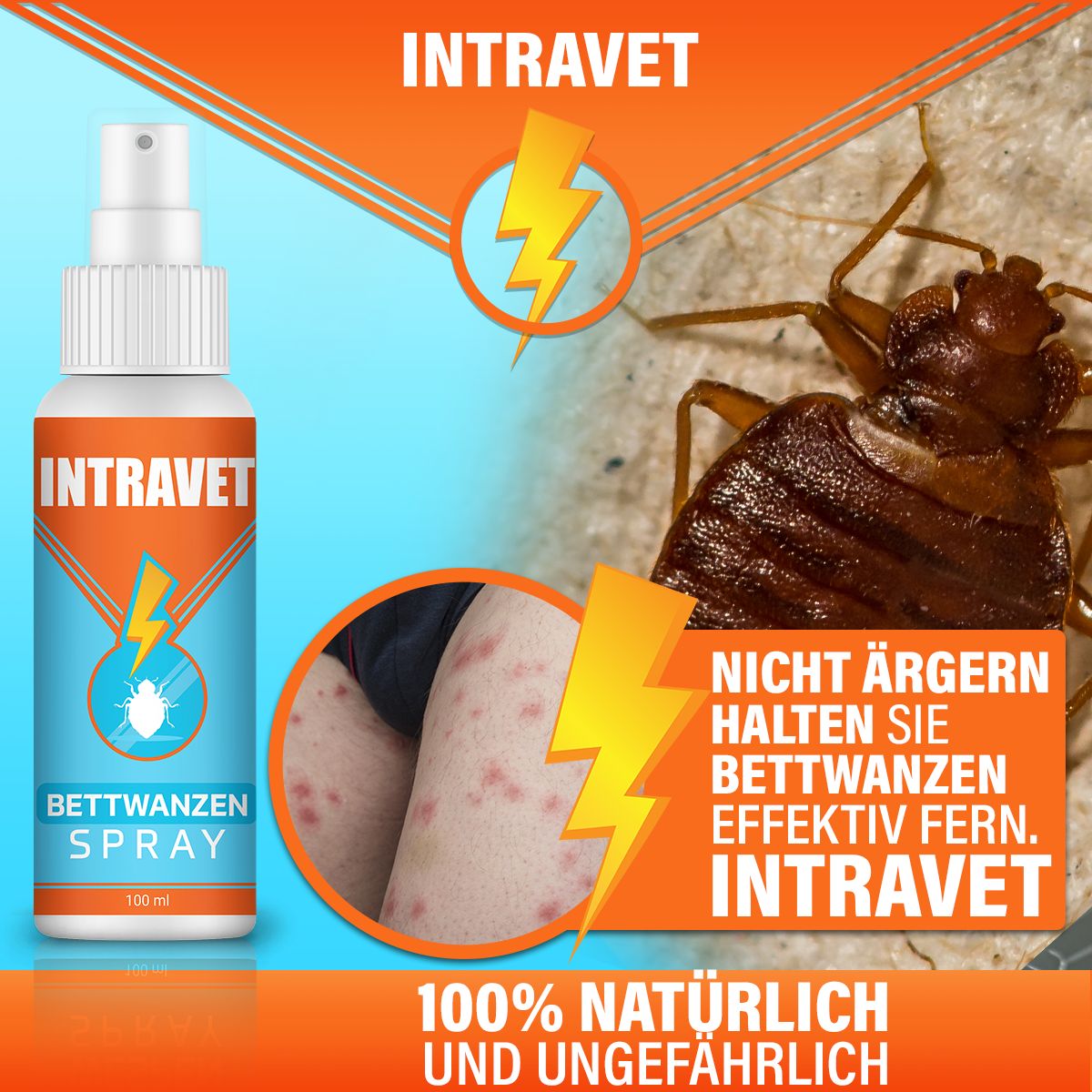 Intravet® | Bettwanzen Spray