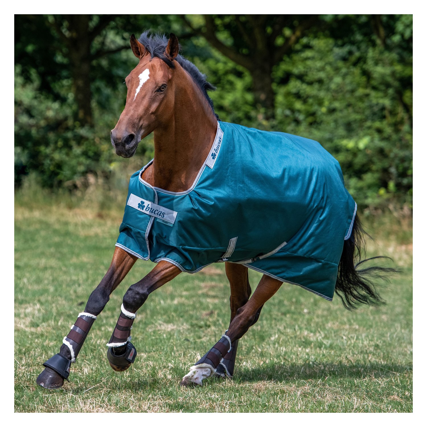 bucas Outdoordecke Atlantic Turnout 50 g - atlantic green