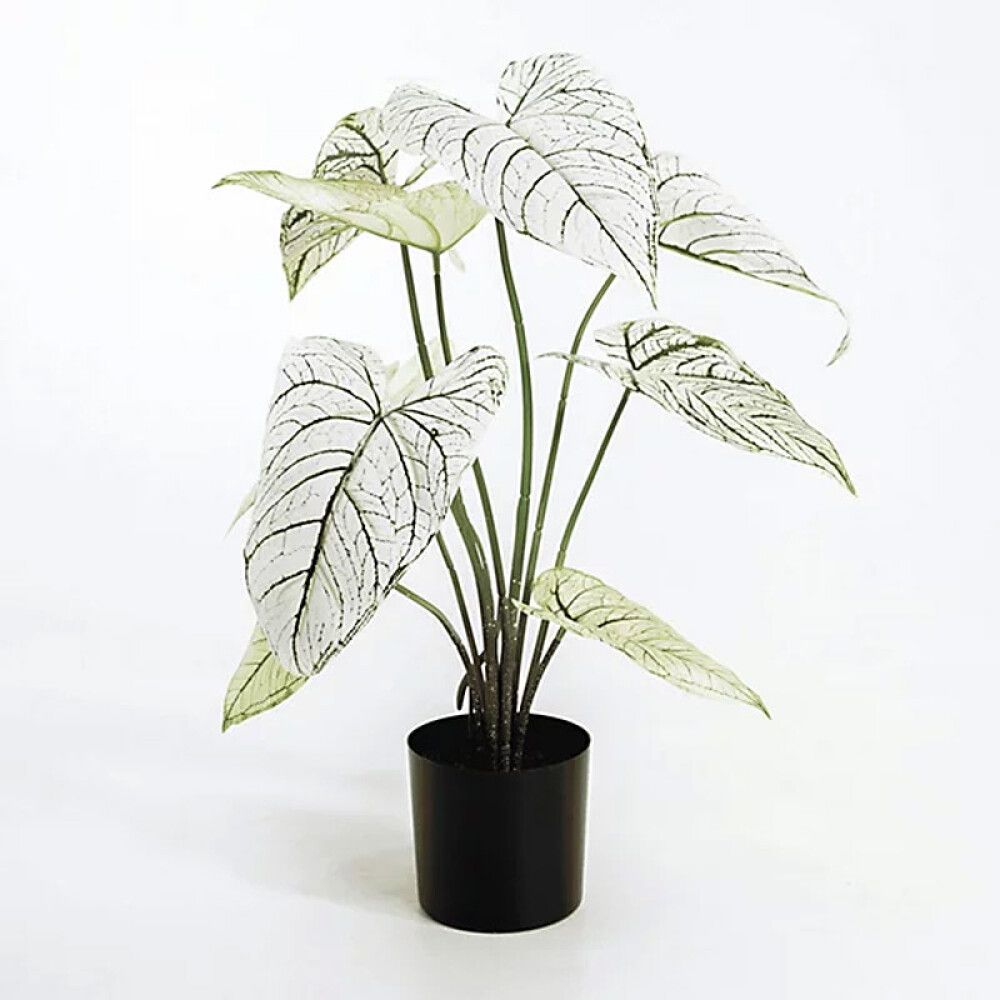KUNSTPLANTE EMERALD ELEFANTØRE CALADIUM I KRUKKE 60 CM